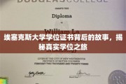埃塞克斯大学学位证书背后，一场真实而奇妙的求学之旅