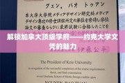 探索约克大学，揭开世界级学位背后的无限可能