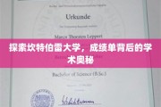 揭开坎特伯雷大学成绩单背后的学术秘密面纱