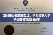 伊利诺斯大学荣耀见证，揭秘芝加哥分校学位证书背后的传奇故事