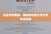 解码北欧精英教育，南丹麦大学文凭的非凡价值
