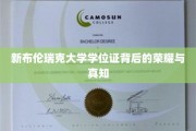 解锁新布伦瑞克大学学位证的荣耀密码，探寻真知的旅程