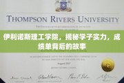 伊利诺斯理工精英风采，解码学子非凡成就与成长历程