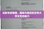 丹麦利利贝特大学，北欧精英教育的璀璨明珠