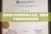 田纳西大学诺克斯维尔分校，揭秘学子成绩单背后的故事