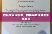 魏玛大学荣耀瞬间，一纸成绩单诠释卓越学术之旅