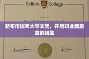 解锁未来职场，新布伦瑞克大学文凭，成就非凡生涯起点