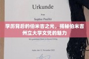 伯米吉州立大学学历，揭秘这座美国城市的教育璀璨星河