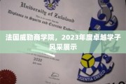法国威勒商学院，2023年度杰出学子荣耀瞬间大揭秘