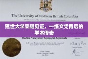 延世荣耀，一纸文凭背后的学术传奇之旅