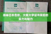 探秘大阪大学，证书背后的卓越实力与独特魅力