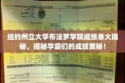 揭秘纽约州立大学布法罗学院学霸成绩背后的秘密！