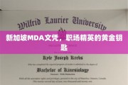 新加坡MDA文凭，开启职场精英之路的璀璨钥匙