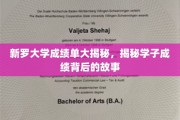 新罗学子成绩背后，揭秘青春奋斗的轨迹