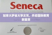 跨越国界，萨省大学文凭引领全球教育新潮流
