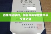 西域学府之谜，揭秘拿撒勒大学文凭的传奇之旅