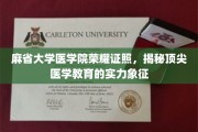 医学精英的荣耀凭证，麻省大学医学院如何铸就顶尖教育品牌