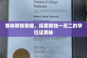 解码普林斯顿，揭秘神秘学位证的荣耀之谜