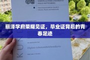 青春印记，丽泽学府毕业证背后的荣耀篇章