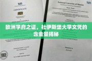 欧洲精英学府通行证，杜伊斯堡大学学位背后的价值解析