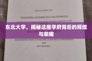 东北大学，探寻学府传奇，揭秘荣耀之光