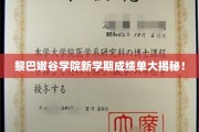 黎巴嫩谷学院新学期成绩揭晓，学霸风云再起！