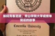 青春足迹解码，揭秘青山学院大学成绩单背后的感人故事