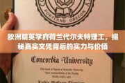 荷兰代尔夫特理工，探索欧洲精英学府的真实实力与文凭价值
