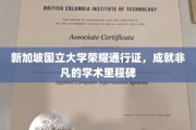 新加坡国立大学学子荣耀证，开启非凡学术之旅的里程碑