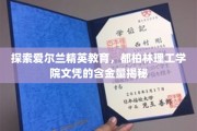 解码都柏林理工学院，揭秘精英教育背后的文凭价值