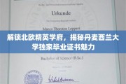 探索丹麦西兰大学，毕业证书背后的北欧精英教育精髓