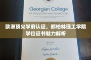 解码都柏林理工学院，欧洲精英学府的学位证书魅力全解析