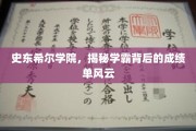 史东希尔学霸风云录，揭秘成绩背后的秘密世界