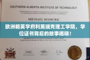 欧洲精英学府利莫瑞克理工学院，学位证书背后的故事揭晓！