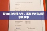 东京情报大学揭秘，学历光环下的不凡人生轨迹