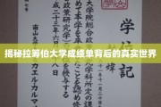 揭开拉筹伯大学成绩单背后的神秘面纱