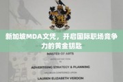 新加坡MDA学历，助你轻松解锁全球职场精英之路