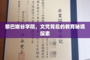 揭开黎巴嫩谷学院，文凭背后的教育奇境之旅