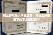 跨国视野下的荷兰蒂尔堡大学，探索国际学术成就的证书奥秘