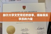 赫尔大学文凭背后的传奇，学历背后的真实力量解析