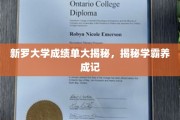 解码学霸之路，新罗大学成绩单背后的秘密揭晓