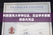 利默里克荣耀证章，学位证书，承载学术成就的璀璨印记