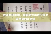 欧洲学府之光，荷兰格罗宁根大学学位背后的非凡价值