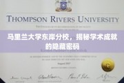 解码马里兰大学东岸分校，学术巅峰的秘密之门