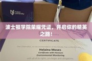 精英启航，波士顿学院荣耀凭证，引领非凡未来