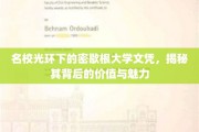 密歇根大学文凭的光环效应，探寻名校背后的价值与独特魅力