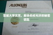 雪城大学文凭，开启精英学府荣耀之路的神秘钥匙
