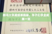 群马大学学子成绩单大揭秘，揭秘这群年轻人的学术实力！