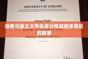 揭秘马里兰大学东岸分校成绩单的神秘面纱