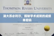 解码湖大苏必利尔，揭秘非凡学术成就的背后秘密
